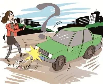 (8.9)【以案说法】小狗被车撞后咬伤主人,如何担责?.jpg (8.9)【以案说法】小狗被车撞后咬伤主人,如何担责?.jpg